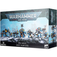 Space Woves Grey Hunters Warhammer 40K