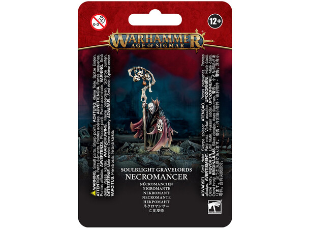 Soulblight Gravelords Necromancer Warhammer Age of Sigmar 