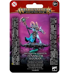Disciples of Tzeentch Tzaangor Shaman Warhammer Age of Sigmar