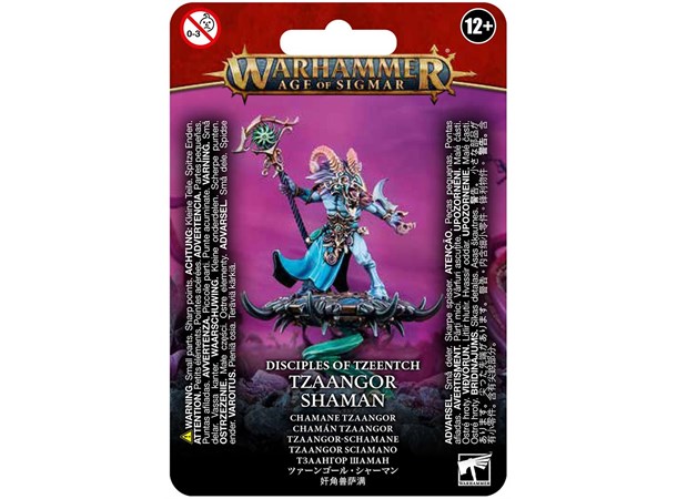 Disciples of Tzeentch Tzaangor Shaman Warhammer Age of Sigmar 