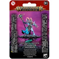 Disciples of Tzeentch Tzaangor Shaman Warhammer Age of Sigmar