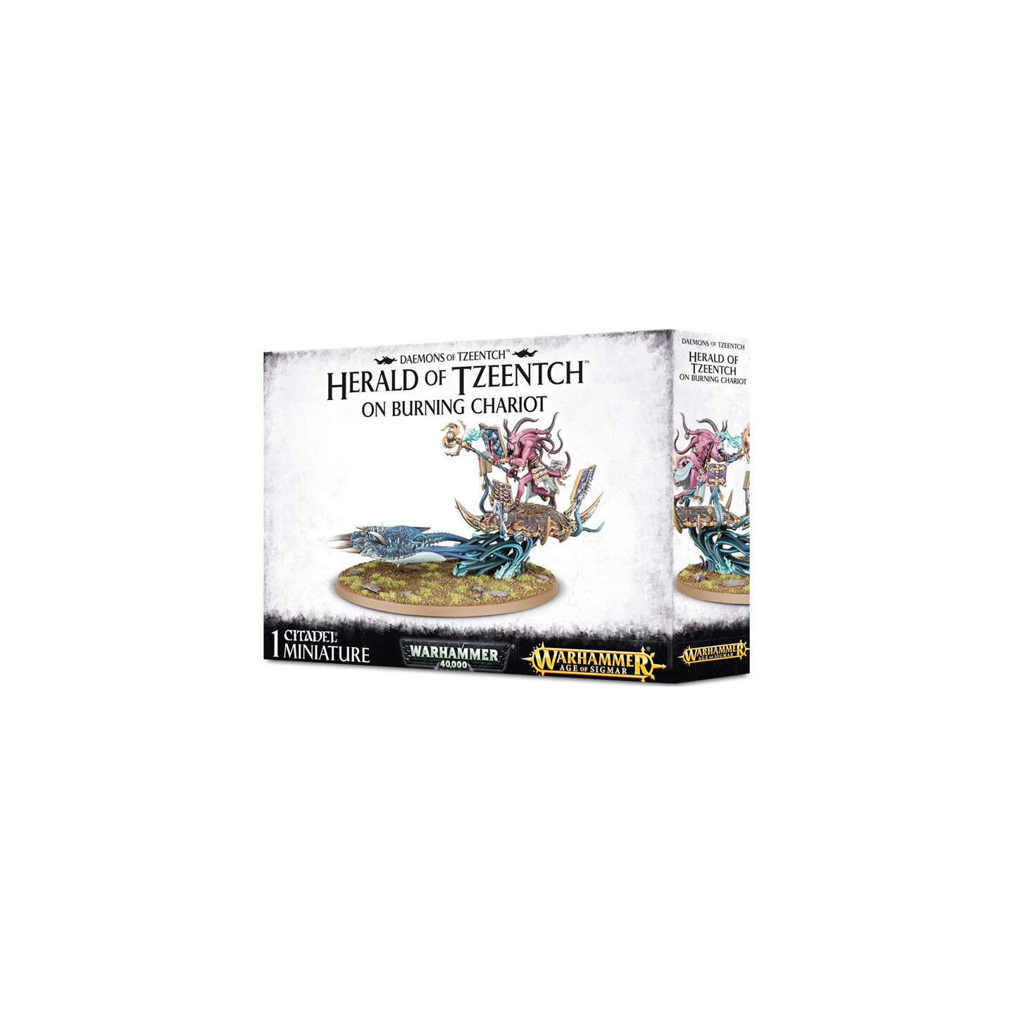 Daemons of Tzeentch Herald of Tzeentch Warhammer 40K / Age of Sigmar