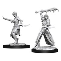 D&D Figur Nolzur Human Rogue Female Nolzur's Marvelous Miniatures - Ej målad