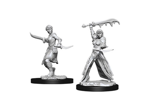D&D Figur Nolzur Human Rogue Female Nolzur's Marvelous Miniatures - Ej målad 