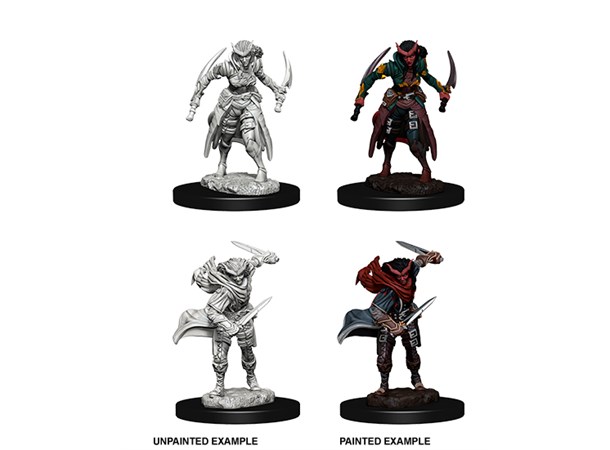 D&D Figur Nolzur Tiefling Rogue Female Nolzur's Marvelous Miniatures - Ej målad 