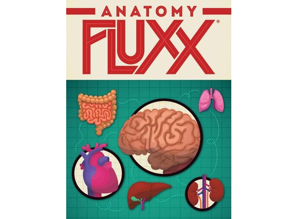 Fluxx Anatomy Kortspel