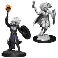 D&D Figur Nolzur Changeling Cleric Femal Nolzur's Marvelous Miniatures - Ej målad