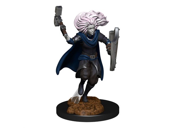 D&D Figur Nolzur Changeling Cleric Femal Nolzur's Marvelous Miniatures - Ej målad 