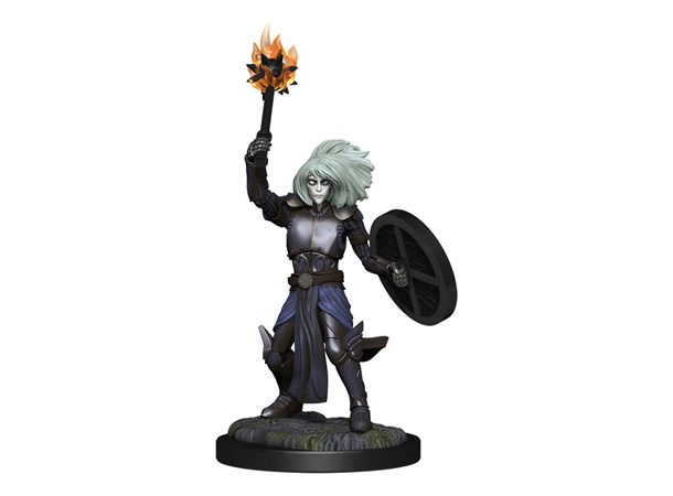 D&D Figur Nolzur Changeling Cleric Femal Nolzur's Marvelous Miniatures - Ej målad 