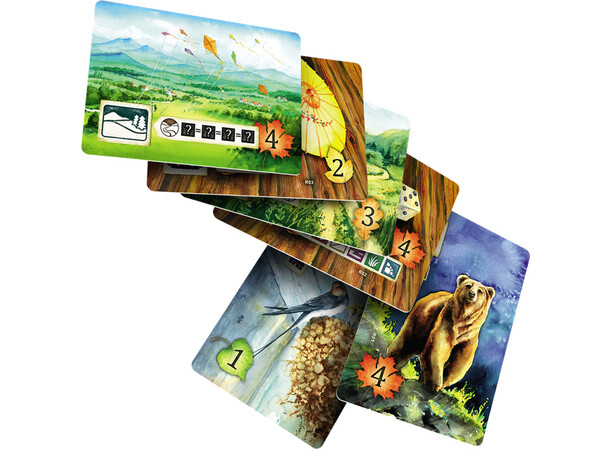 Meadow Cards & Sleeves Pack Expansion + Kortskydd till Meadow 
