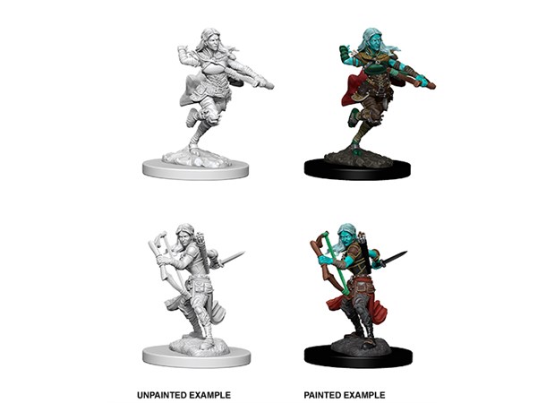 D&D Figur Nolzur Air Genasi Rogue Female Nolzur's Marvelous Miniatures - Ej målad 