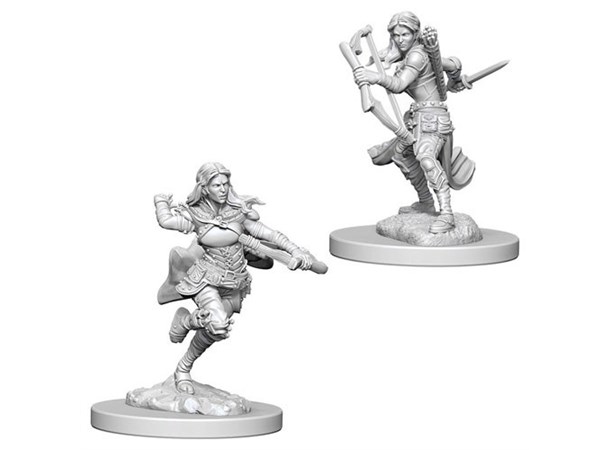 D&D Figur Nolzur Air Genasi Rogue Female Nolzur's Marvelous Miniatures - Ej målad 