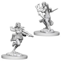 D&D Figur Nolzur Air Genasi Rogue Female Nolzur's Marvelous Miniatures - Ej målad