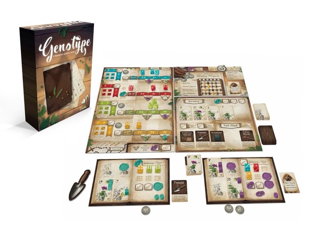 Genotype Brädspel A Mendelian Genetics Game 