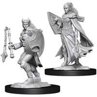 D&D Figur Nolzur Kalashtar Cleric Female Nolzur's Marvelous Miniatures - Ej målad