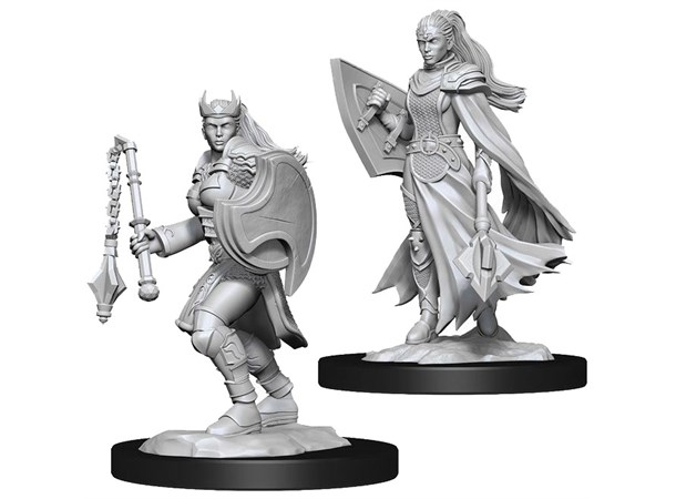 D&D Figur Nolzur Kalashtar Cleric Female Nolzur's Marvelous Miniatures - Ej målad 