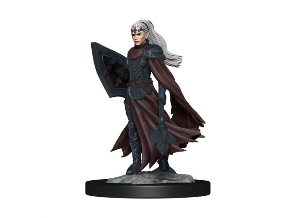 D&D Figur Nolzur Kalashtar Cleric Female Nolzur's Marvelous Miniatures - Ej målad 