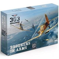 303 Squadron Brothers in Arms Expansion Expansion till 303 Squadron