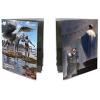 D&D Character Class Folio Paladin Dungeons & Dragons