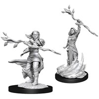 D&D Figur Nolzur Human Druid Female Nolzur's Marvelous Miniatures - Ej målad