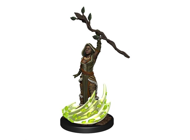 D&D Figur Nolzur Human Druid Female Nolzur's Marvelous Miniatures - Ej målad 