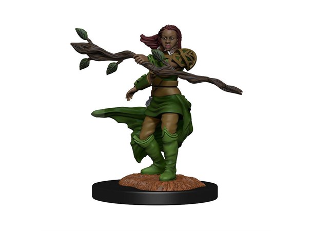 D&D Figur Nolzur Human Druid Female Nolzur's Marvelous Miniatures - Ej målad 