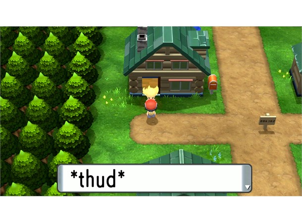 Pokemon Brilliant Diamond Switch 