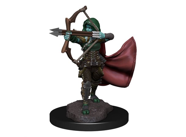 D&D Figur Nolzur Air Genasi Female Nolzur's Marvelous Miniatures - Ej målad 