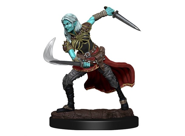 D&D Figur Nolzur Air Genasi Female Nolzur's Marvelous Miniatures - Ej målad 
