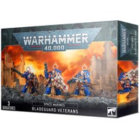 Space Marines Bladeguard Veterans Warhammer 40K