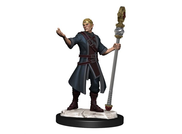 D&D Figur Nolzur Half-Elf Wizard Male Nolzur's Marvelous Miniatures 