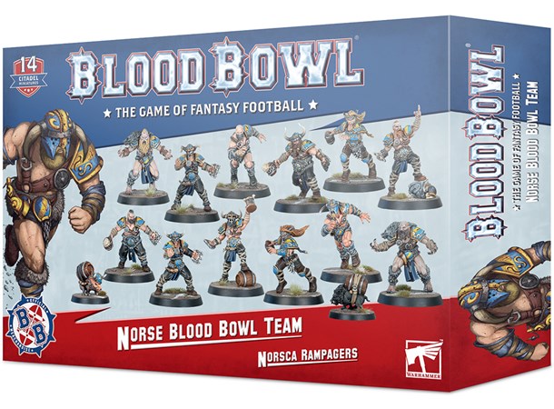 Blood Bowl Team Norse Team 