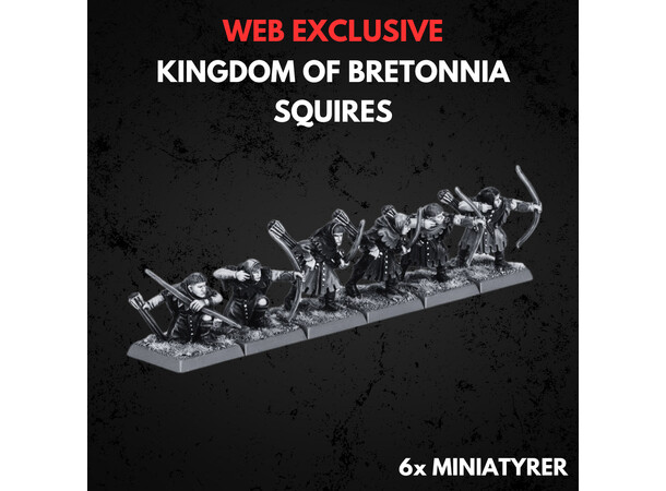 Kingdom of Bretonnia Squires Warhammer The Old World 
