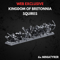 Kingdom of Bretonnia Squires Warhammer The Old World