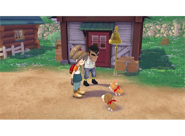 Story of Seasons A Wonderful Life Switch 