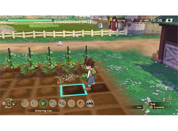 Story of Seasons A Wonderful Life Switch 