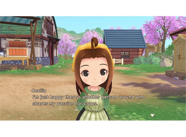 Story of Seasons A Wonderful Life Switch 