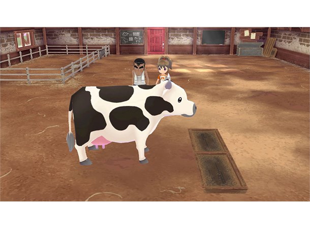 Story of Seasons A Wonderful Life Switch 