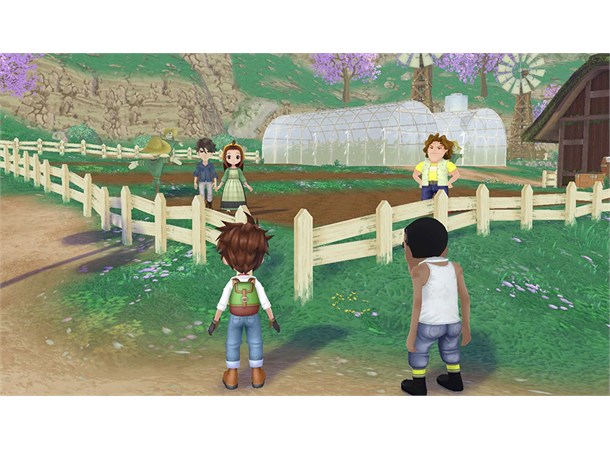 Story of Seasons A Wonderful Life Switch 