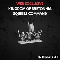 Kingdom of Bretonnia Squires Command Warhammer The Old World