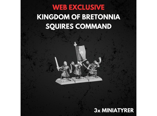 Kingdom of Bretonnia Squires Command Warhammer The Old World 