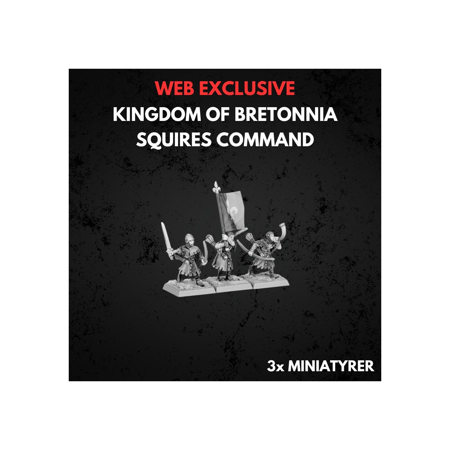 Kingdom of Bretonnia Squires Command Warhammer The Old World