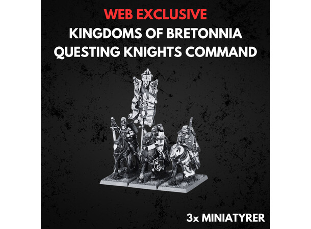Kingdom of Bretonnia Questing Command Warhammer The Old World Questing Knights 