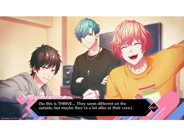 B Project Switch 
