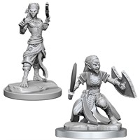 D&D Figur Nolzur Shifter Fighter Female Nolzur's Marvelous Miniatures - Ej målad