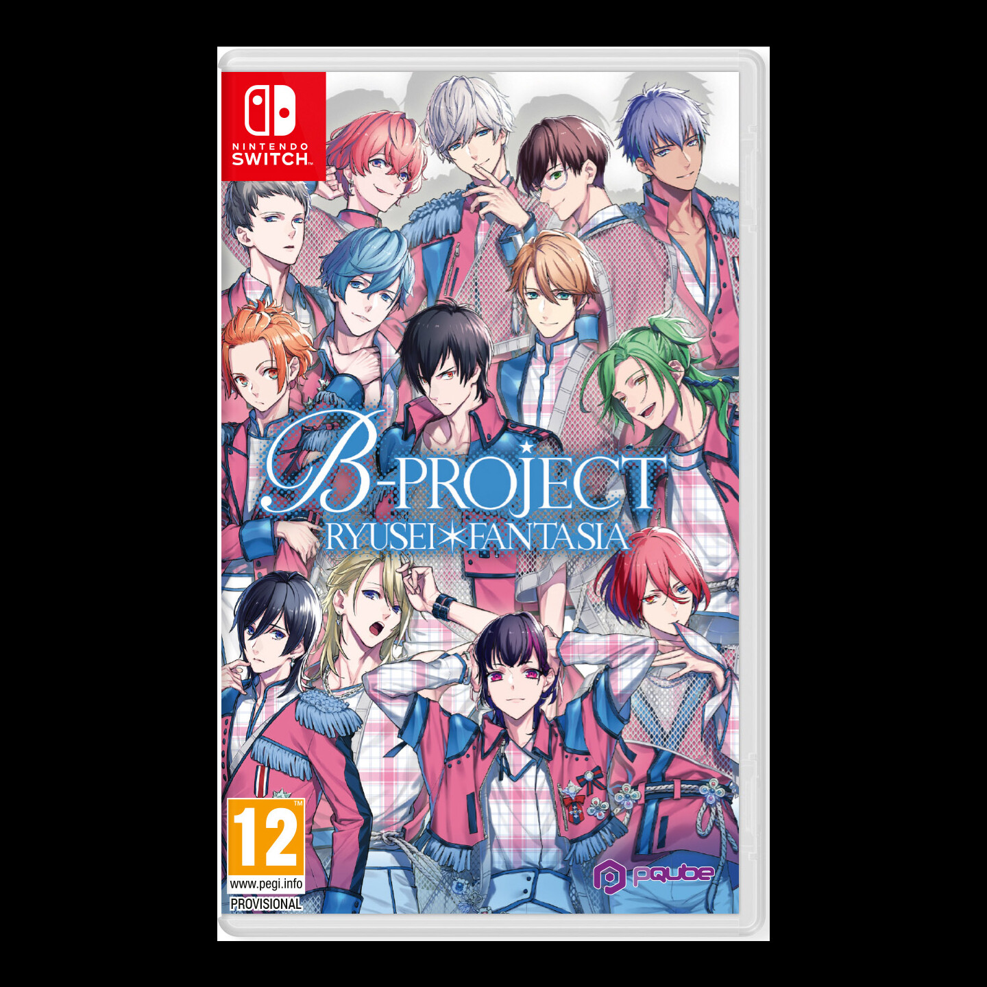 B Project Switch