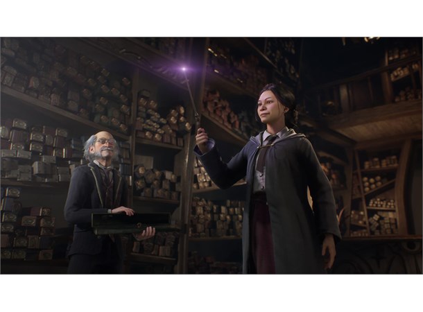 Hogwarts Legacy Switch 