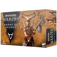 Warcry Warband Horns of Hashut Warhammer Age of Sigmar