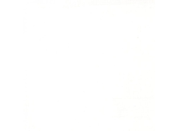 Ink Acrylic Titanium White Liquitex 432 - 30 ml 