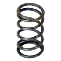 Valve Spring Evolution/Ultra/Infinity Harder & Steenbeck 123270